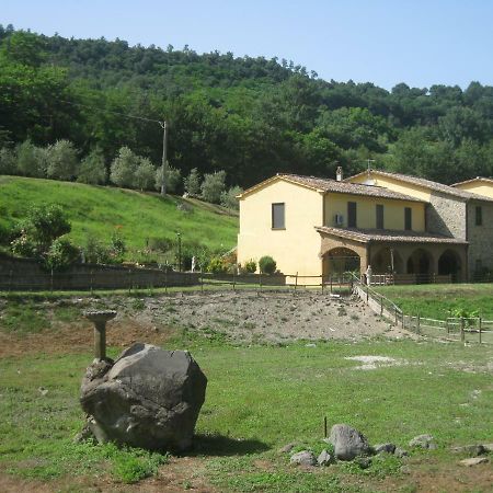 Alloggio Turistico Mooneyes Apartman Castiglione In Teverina Kültér fotó