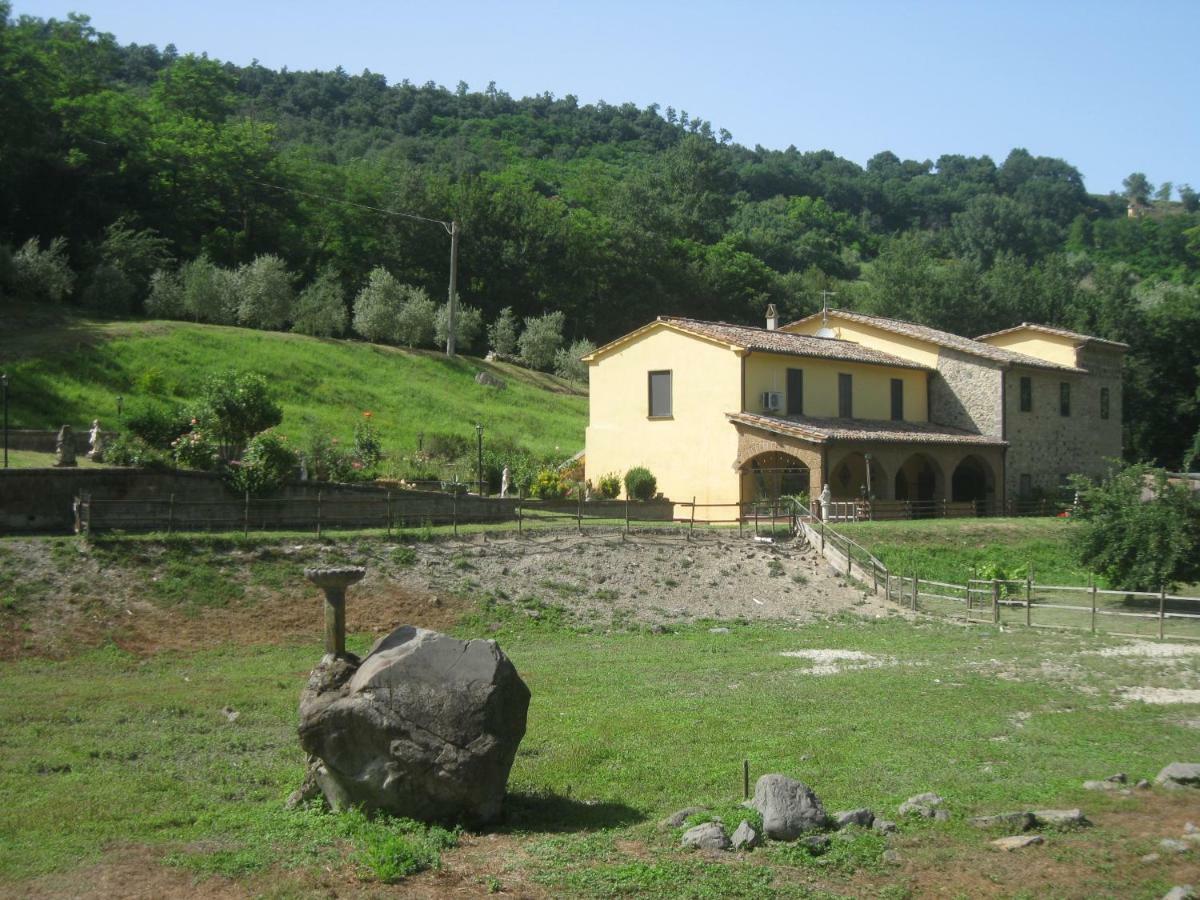 Alloggio Turistico Mooneyes Apartman Castiglione In Teverina Kültér fotó