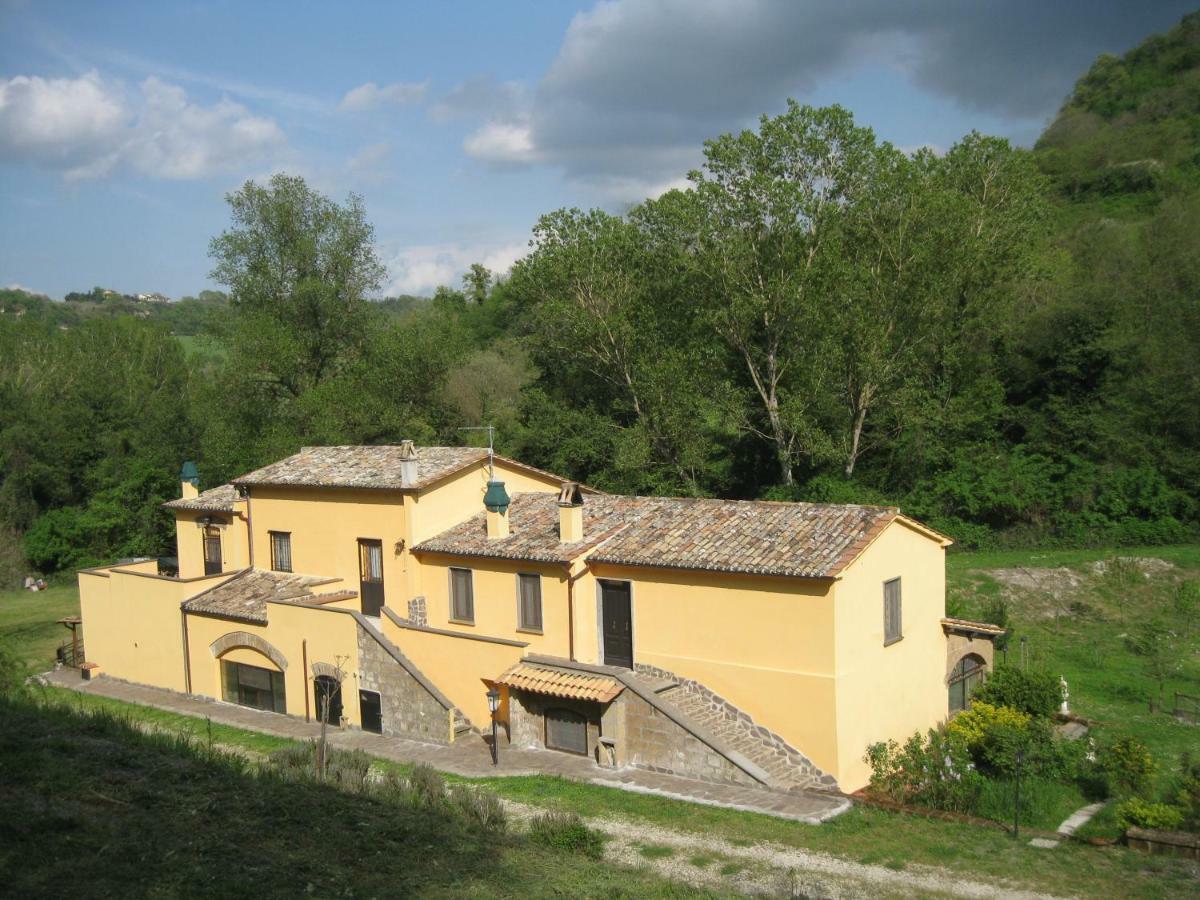 Alloggio Turistico Mooneyes Apartman Castiglione In Teverina Kültér fotó