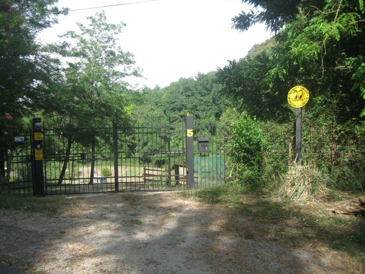Alloggio Turistico Mooneyes Apartman Castiglione In Teverina Kültér fotó